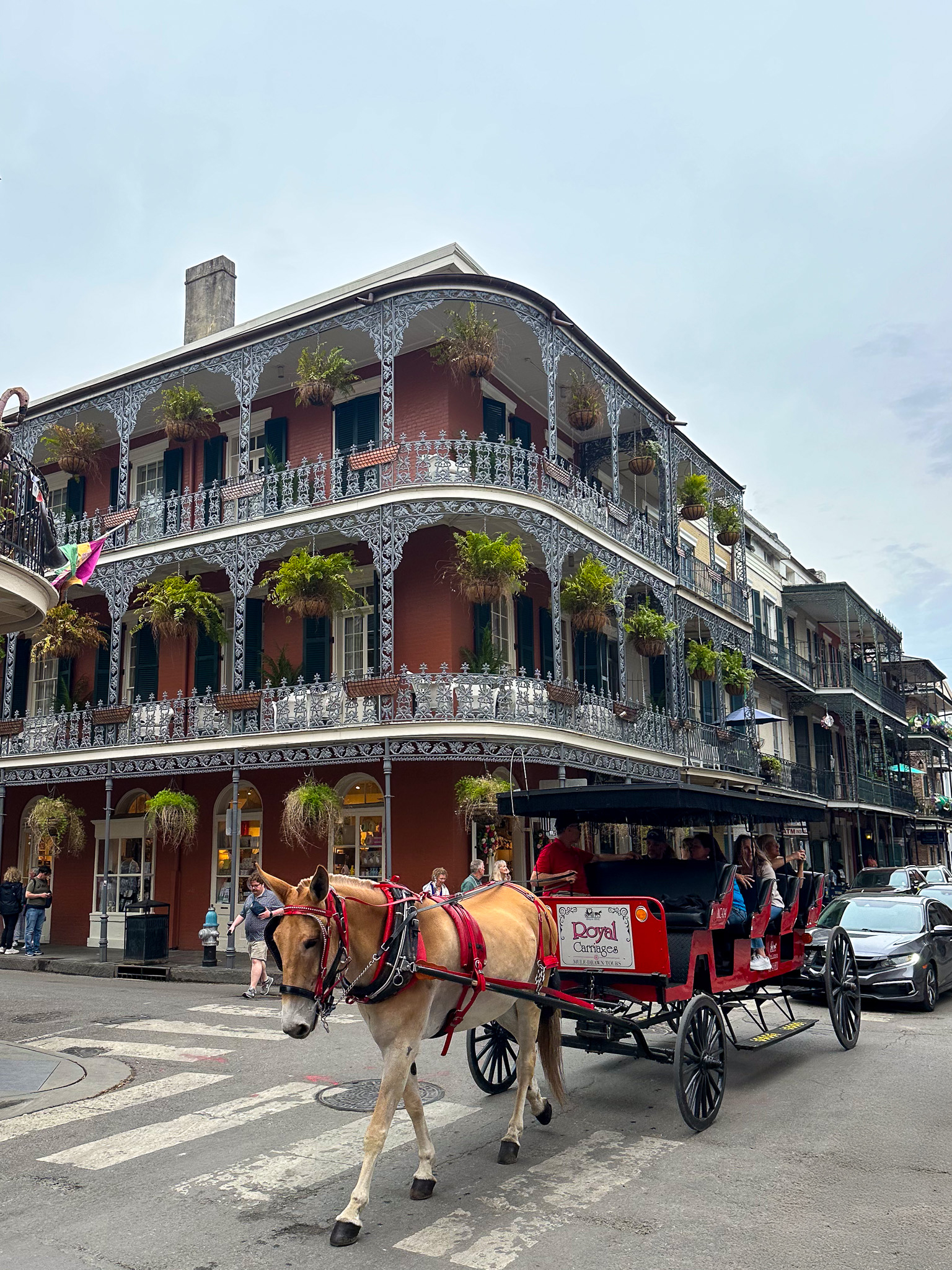 FRENCH QUARTER · 2025 · DIGITAL CAMERA